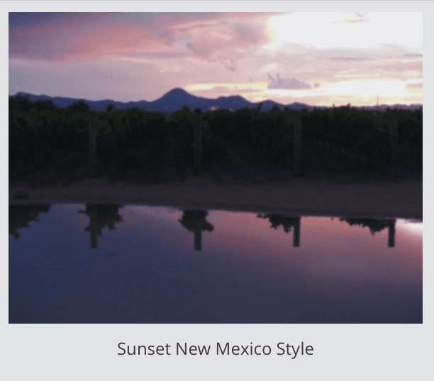 New Mexico sunset Sunset at the Lescombes Vineyard
