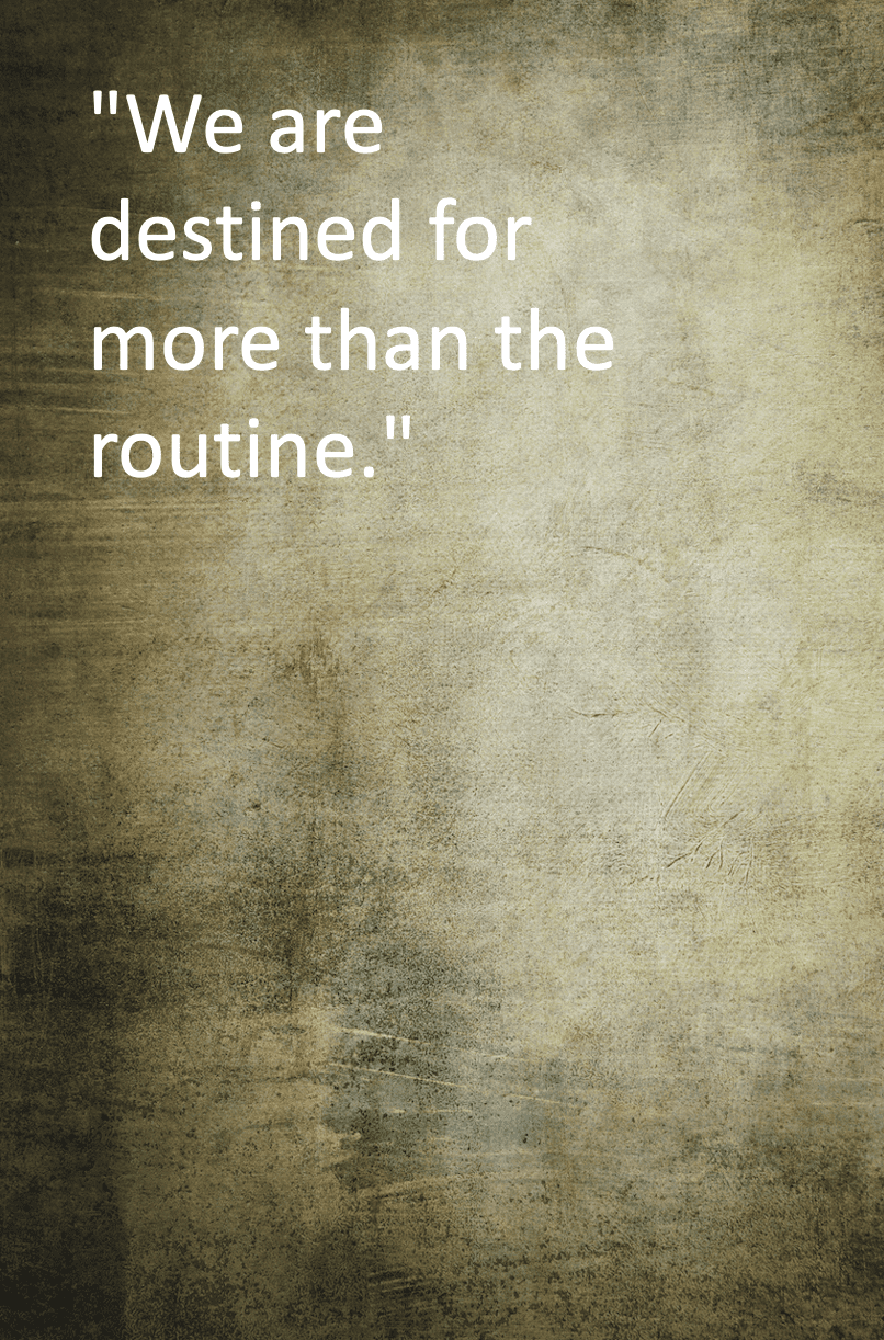 Adam Asher Quote Adam Asher